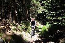 nareszcie trochę wypłaszczenia