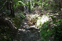 Niemiła niespodzianka na szlaku