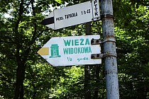 Drogowskaz ze szlakiem zielonej wieży