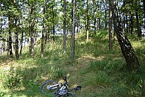 Na szczycie Czernicy