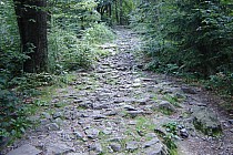 Czerwony szlak pieszy na Ślężę