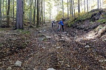 Czerwony szlak pieszy / drużyna się obija :)