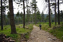 W drodze z W. Sowy na Przełęcz Jugowską