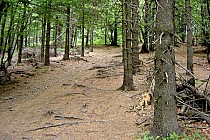 Początek podjazdu na Słoneczną