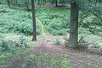 Zdjęcie z aktualnej trasy maratonu