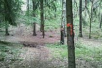 Zdjęcie z aktualnej trasy maratonu