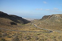 Droga przez mękę... czyli co tygryski lubią najbardziej