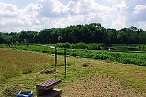 Ciekawy zakątek na trasie (ok 100 m od skrzyżowania w Szombierkach)