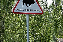 Fot: Anna Fidziukiewicz i Jan Michalis