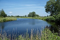 Fot: Anna Fidziukiewicz i Jan Michalis