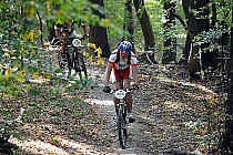 Fort: Jacek Prondzynski