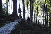 Rychlebskie ścieżki