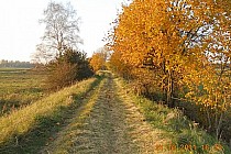 Widok na nasyp kolejowy pod Czarną Dąbrówką.