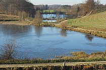 Urokliwe miejsce-jez.Jeleń