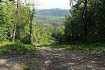 Zjazd z zamku Morsko