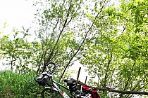 Nieboczowy