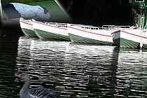 W lewym górnym rogu pokazane jak robiłem to zdjęcie