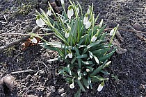 I juz widac odznaki wiosny.