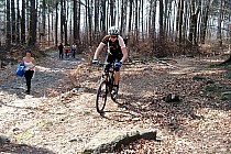 Żółty szlak na Ślężę, boczna leśna ścieżka