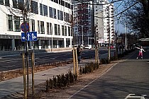 Droga rowerowa wzdłuż ulicy Wielkiej przy Sky Tower