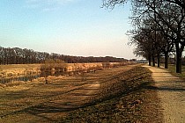 Widok na Odrę przy Śluzie Bartoszowice