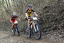 Katarzyna Solus-Miśkowicz