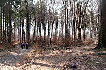 Wjazd na Ślężę żółtym szlakiem turystycznym