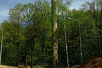 Wieża obserwacyjna na szczycie Wzgórza Wandy