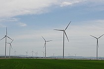 wiatraki pod Chojnowem