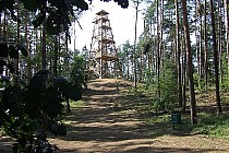 Wieża w Olejnicy stoi na stromym wzgórzu pośród lasu.