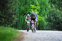 Fot. Jacek Prondzynski