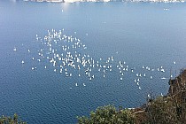 Widok na Lago di Garda