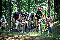 fot. bikemaraton.com