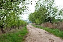 W drodze do Brzeziej Łąki