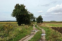 Droga między Brzezią Łąką i Bielawą