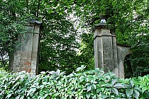 Raków - ślady minionej świetności