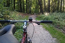 Trasa dookoła jeziora otomińskiego koło Gdańska