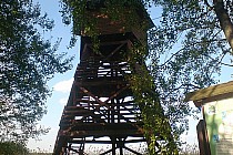 Wieża Na Końcu Ścieżki W Grabownicy ;)