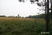 bagna staw "Radełko"