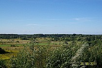 widok z wiaduktu nad torami w Zarzeczu