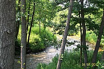 rzeka Bukowa w Szwedach