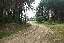 tak wygląda droga powiatowa między Dąbrowica - Sieraków