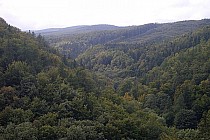 Widokz Czarciej na Dolinę Raków