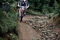 Czerwony szlak do Borowic / fot.: bikelife.pl