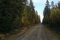 Podjazd w kierunku Bronkowic