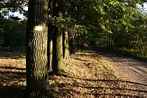 Szlak pieszy "Dookoła Wrocławia"