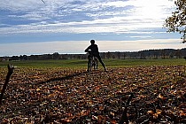 Świetna pogoda podkreślała piękno jesieni....