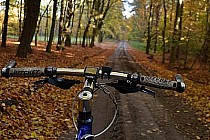 Piękne szlaki kusiły i zachęcały  coraz bardziej....