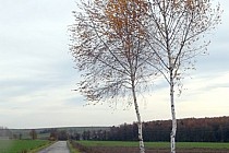 Chwila relaksu i refleksji :O