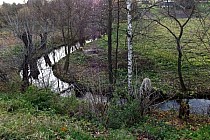 I takie ładne zakątki, dawno nie widziałem tak czystych rzeczek lokalnych :)